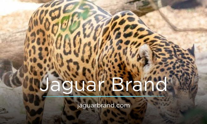 JaguarBrand.com